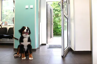 Przychodnia Weterynaryjna Zwierzak